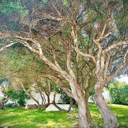 Starbal Apt Es Castell  Exterior foto